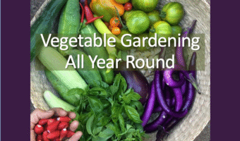 basket of vegetables and herbs